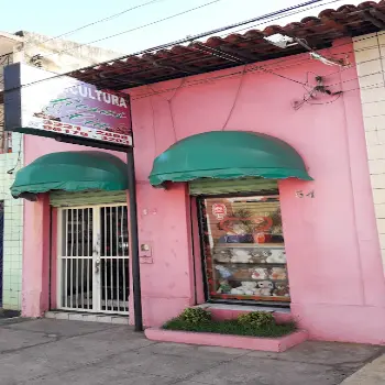 floricultura 24 horas em sao luis ma rosas e cia