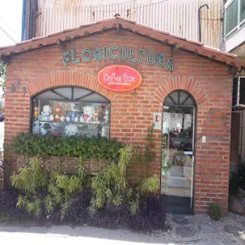 floricultura 24 horas fortaleza coffee time