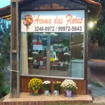 floricultura aroma das flores slz