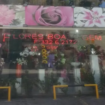 floricultura boa viagem jabotoao dos guararapes