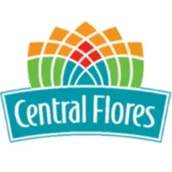 floricultura central flores para entrega guara