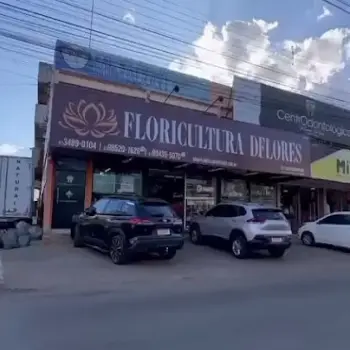 floricultura coroa cemiterio boa esperança brasilia