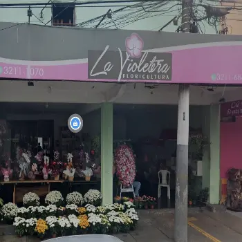 floricultura coroas flores baratas goiania