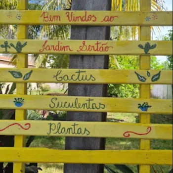 floricultura em patos entrega hoje