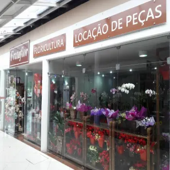 floricultura frutaflor centro slz