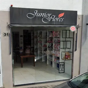 floricultura junior entrega flores lagarto
