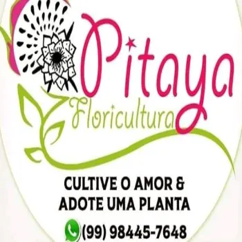 floricultura pitaya timon ma