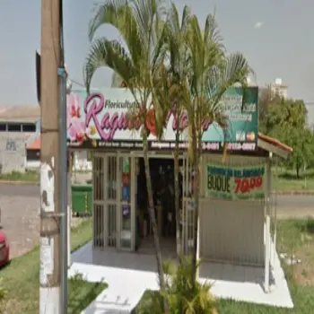 floricultura raquel flores teleentrega guara