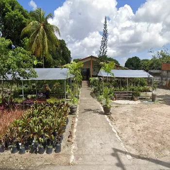 floricultura vida garden alexia flores