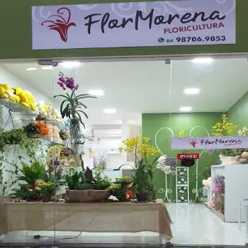 floriculturas flor morena Parnamirim
