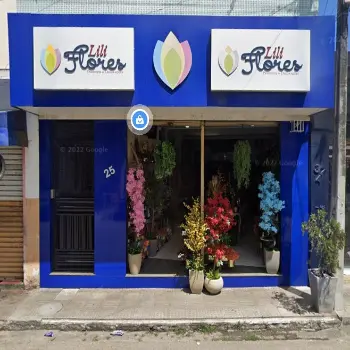 lili floricultura online itabaiana
