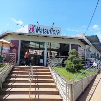 loja flores entrega 24 horas goiania