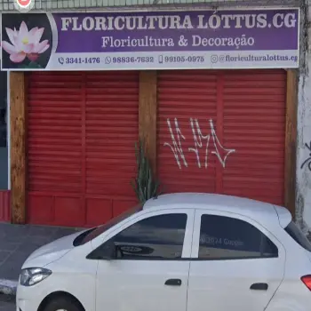 lottus CG floricultura campina grande