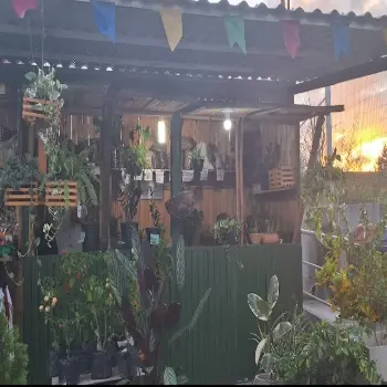 rm variedades floricultura em rio largo al