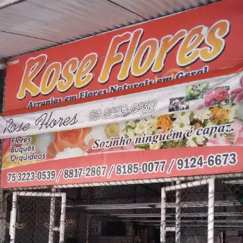 rose flores floricultura centro feira santana ba