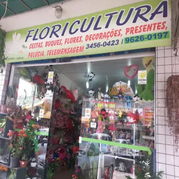 taguatinga sul floricultura entrega rapida