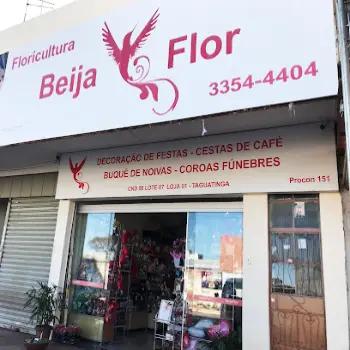 telefono floricultura beija-flor taguatinga norte (DF)