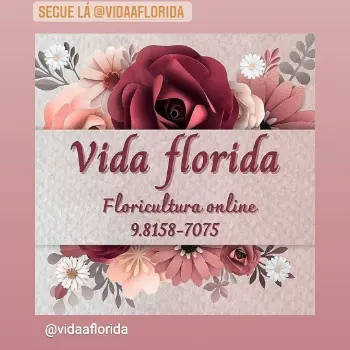 vida florida floricultura online natal