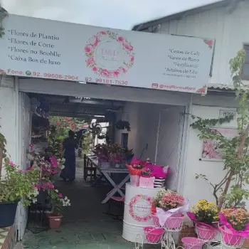 d e d melhor Floricultura Parintins entrega rapida