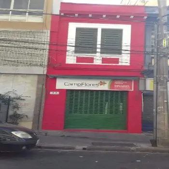 Floricultura Camp Flores delivery em campinas sp