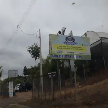 Floricultura Flores Primavera