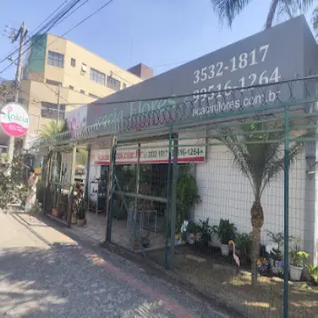 acacia flores floricultura online betim centro