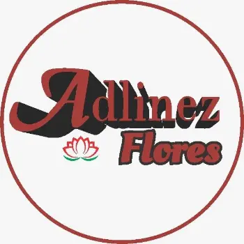 adlinez floricultura aberta agora duque de caxias