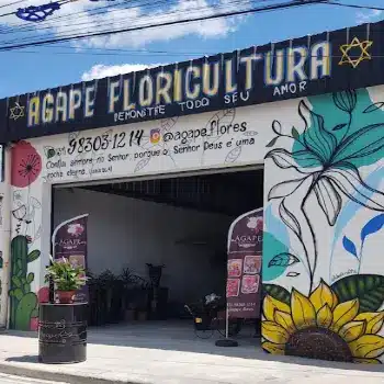 agape floricultura 24 horas betim mg