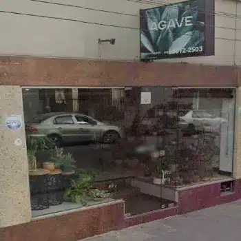 agave floricultura 24 horas campos dos goytacazes rj