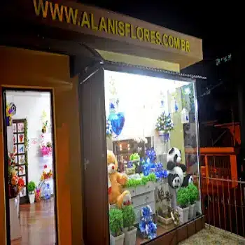alanis flore floricultura aberta agora sao bernardo campo