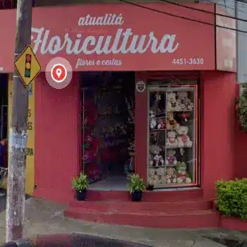 atualita floricultura 24 horas santo andre sp