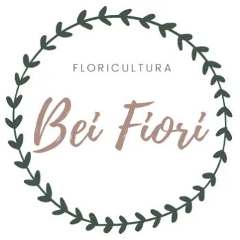 bei fiore floricultura em pitaciolandia acre