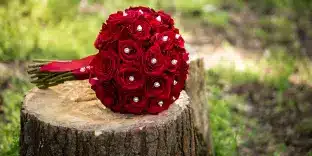 buque de rosas vermelhas naturais