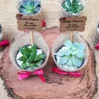 cactos personalizados baratos
