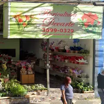 decarte floricultura online osasco sp