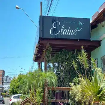 elaine floricultura online