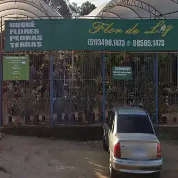 flor de liz floricultura online gravatai