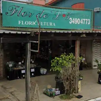 flor de liz loja de flores