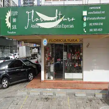 flor do sol floricultura