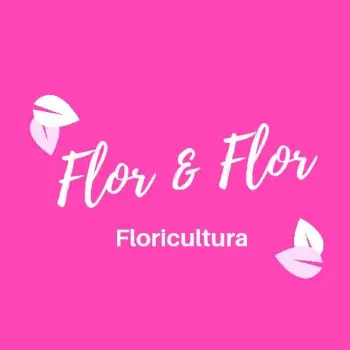 flor e flor melhor floricultura belem pa