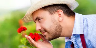 flor ideal para homens