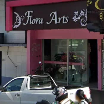 flora arts floricultura online manacapuru