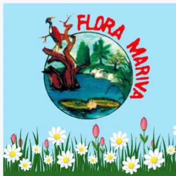 flora mariva floricultura aberta agora blumenau sc