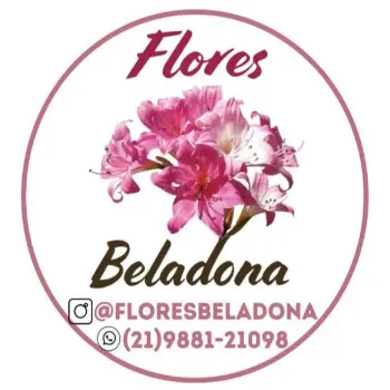 flores beladona floricultura