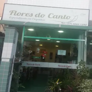 flores do campo floricultura vitoria es