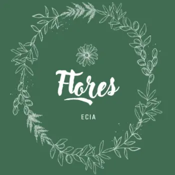 flores e cia floricultura 14 horas vila velha es