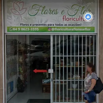 flores e flor floricultura online parnamirin rn