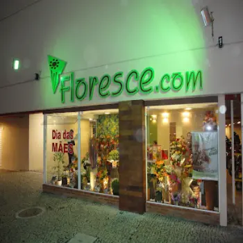 floresce floricultura aberta agora juiz de fora