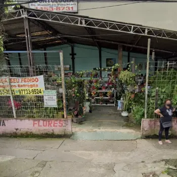 florescer floricultura online em santo andre sp