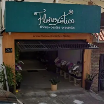 florexotica floricultura aberta agora santo andre sp